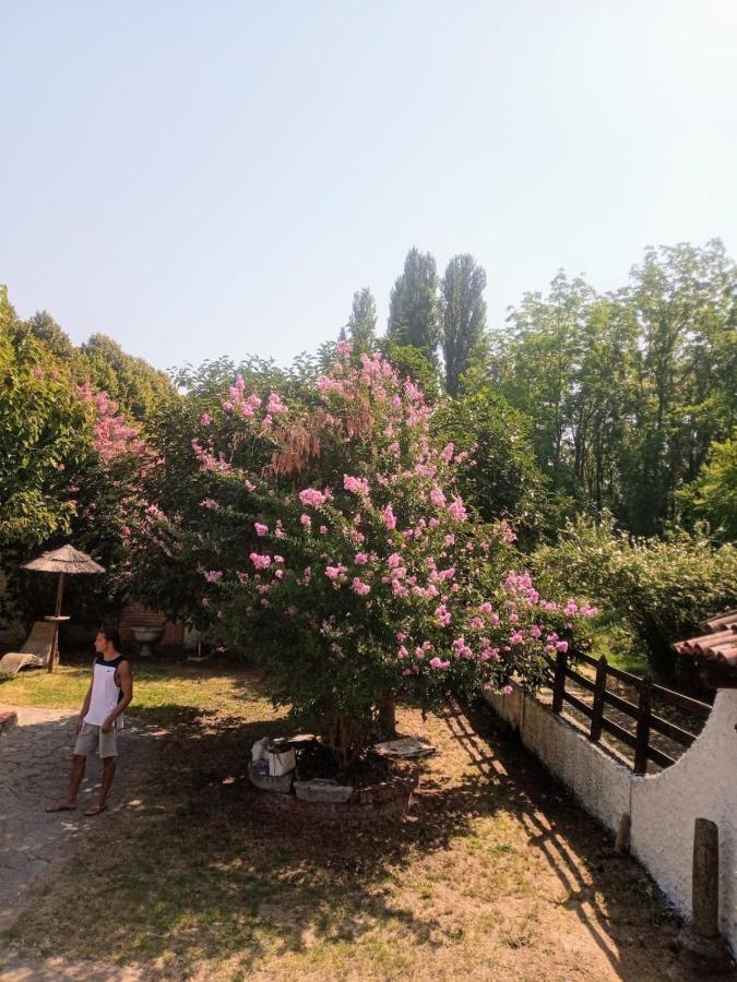 La Dama Con L'Ermellino B&B San Giovanni in Croce Экстерьер фото